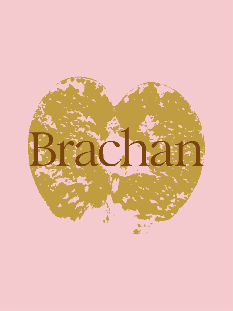 Brachan Cider logo